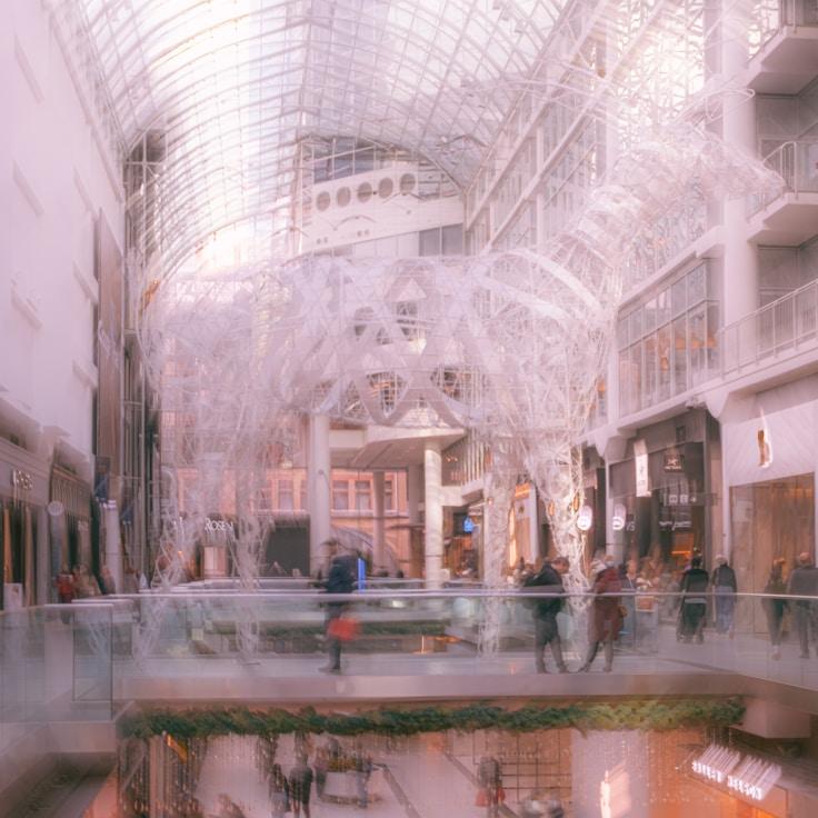 Dining out as an expat family in Switzerland